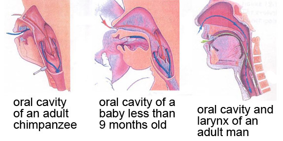 Breathing while swallowing